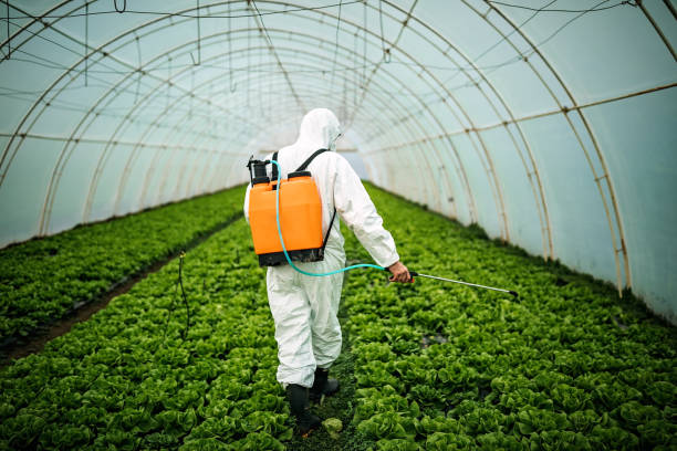 Best Pest Prevention Services  in Elysburg, PA