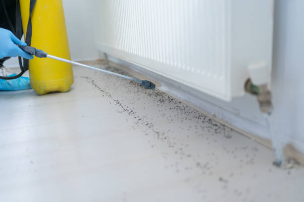 Best Emergency Pest Control  in Elysburg, PA