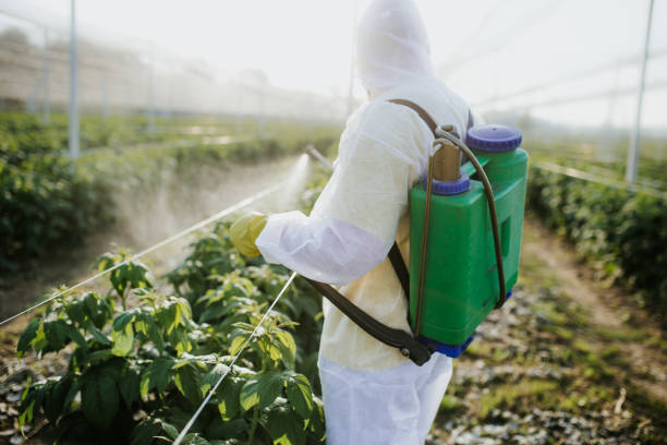 Trusted Elysburg, PA Pest Control Experts